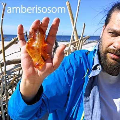 Okładka: Amberisosom