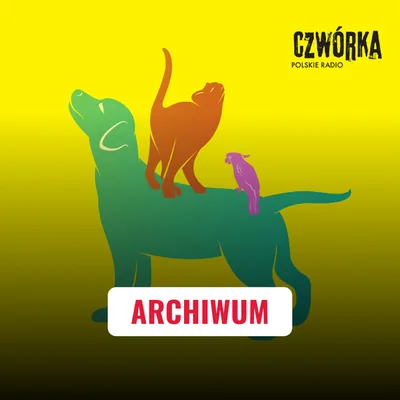 Okładka: Animalsi | Czwórka