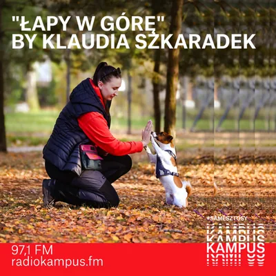 Okładka: Łapy w górę