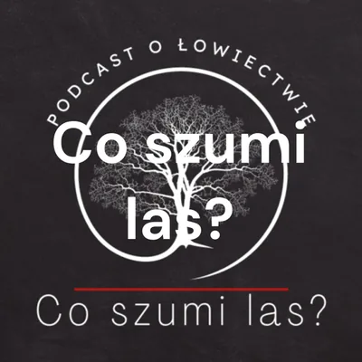 Okładka: Co szumi las?