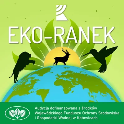 Okładka: Eko-Ranek | Radio Katowice