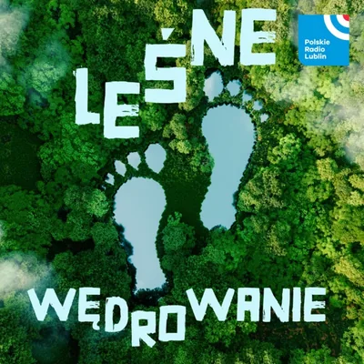 Okładka: Leśne wędrowanie w Radiu Lublin
