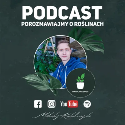 Okładka: POROZMAWIAJMY O ROŚLINACH