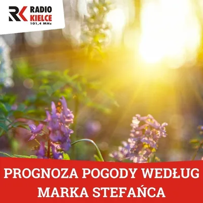 Okładka: PROGNOZA POGODY WEDŁUG MARKA STEFAŃCA