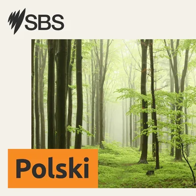 Okładka: SBS Polish - SBS po polsku