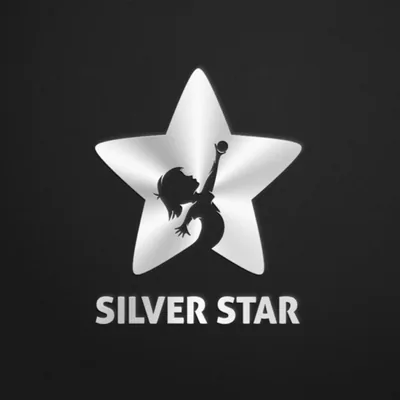 Okładka: Silver Star Srebro Kobiecym Okiem