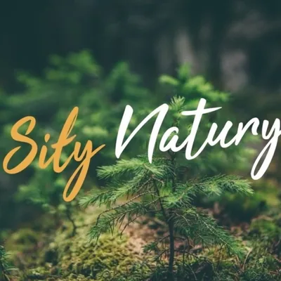 Okładka: Siły Natury Blog
