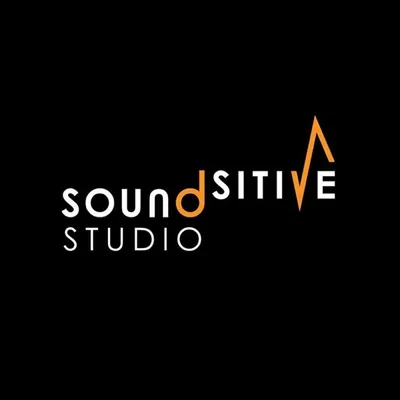 Okładka: Soundsitive Studio