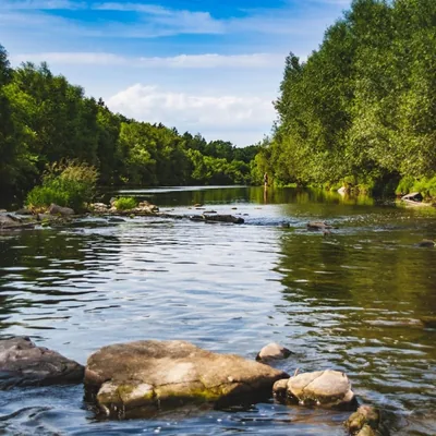 Okładka: Ustroń 2019 - Obóz rodzinny
