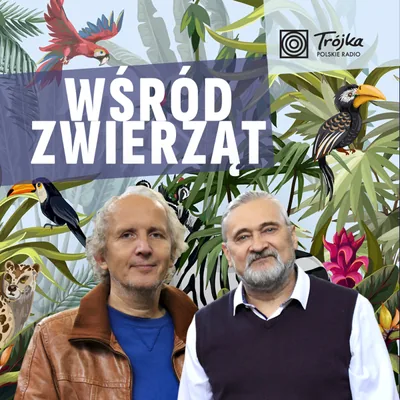 Okładka: Wśród Zwierząt